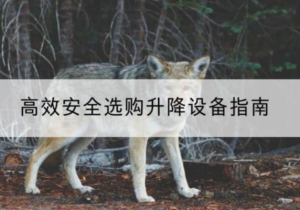 端州升降货梯厂家推荐-*安全选购升降设备指南