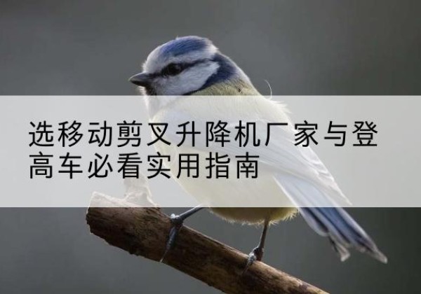 端州电动升降机厂家-选移动剪叉升降机厂家与登高车必看实用指南