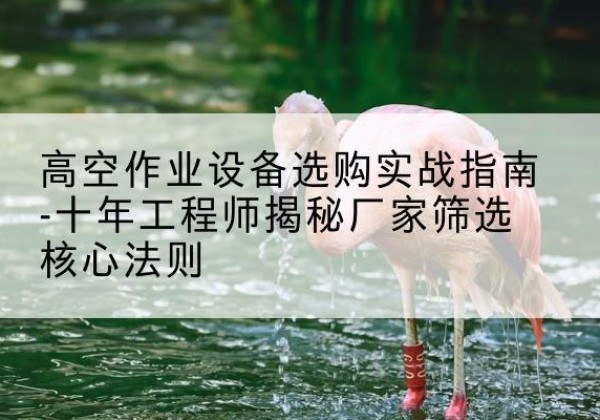 端州剪叉式升降机厂家-高空作业设备选购实战指南-十年工程师揭秘厂家筛选核心法则